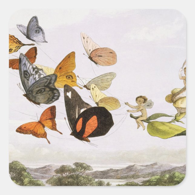 Pegatina Cuadrada Mariposas antiguas y arte de Ilustracion antiguo (Anverso)