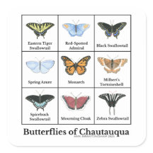 Mariposas de Chautauqua