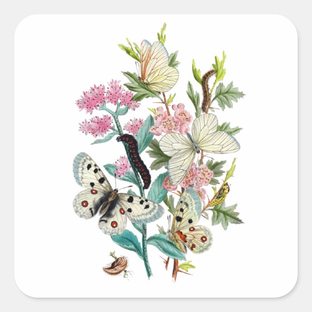 Pegatina Cuadrada Mariposas de verano (Anverso)