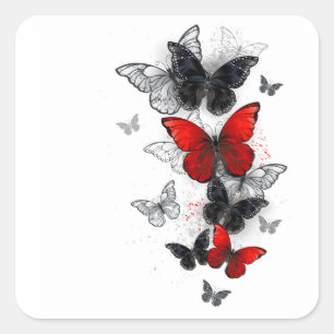 Pegatina Cuadrada Mariposas Morpho voladoras negras y rojas