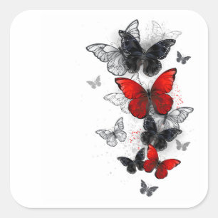 Pegatina Cuadrada Mariposas Morpho voladoras negras y rojas