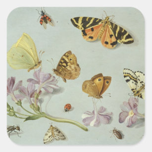 Pegatina Cuadrada Mariposas, polillas y otros insectos
