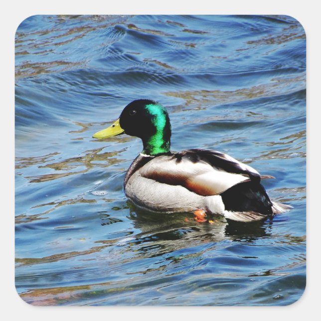 Pegatina Cuadrada Marllad (Anverso)