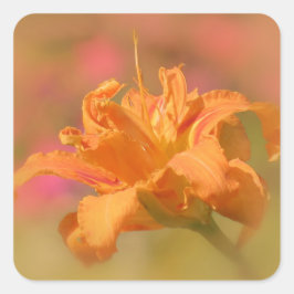 Pegatina Cuadrada Marmalade - Daylily