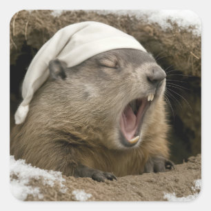 Pegatina Cuadrada Marmota bostezando con gorro de dormir