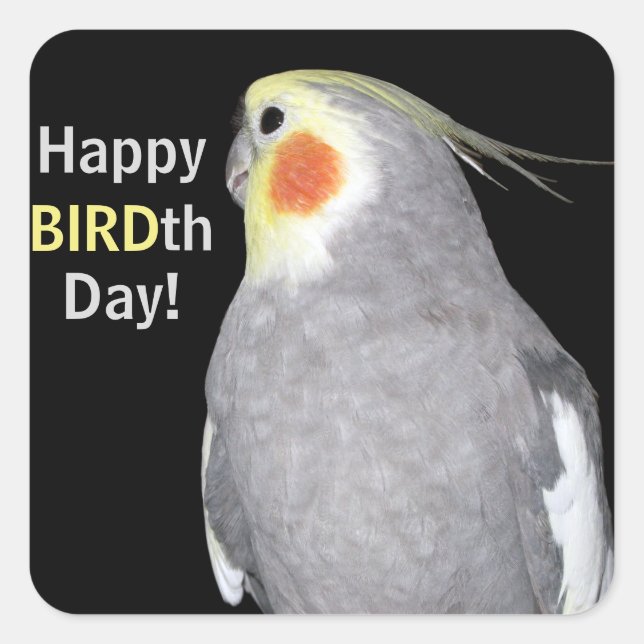 Pegatina Cuadrada Mascota Bird Cockatiel Photo Happy BIRD Day Birthd (Anverso)