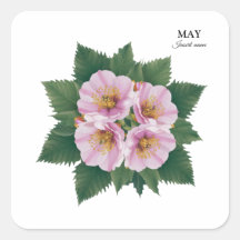 May Birday Hawthorn Bloom: Floral personalizada