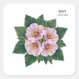 Pegatina Cuadrada May Birday Hawthorn Bloom: Floral personalizada