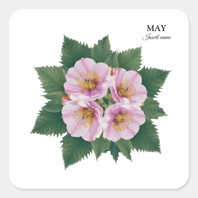Pegatina Cuadrada May Birday Hawthorn Bloom: Floral personalizada (Anverso)
