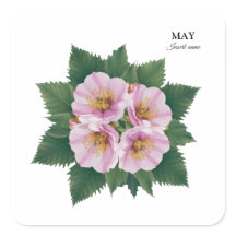 May Birday Hawthorn Bloom: Floral personalizada