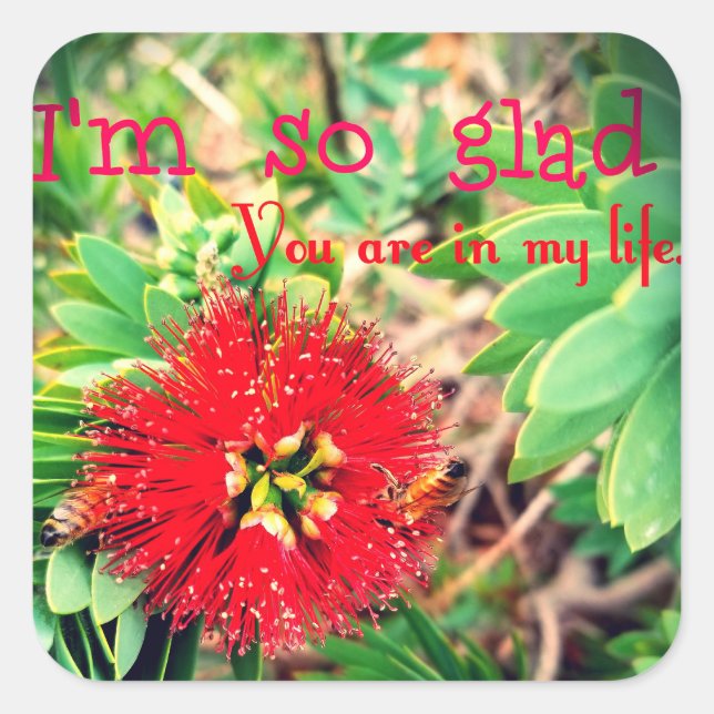 Pegatina Cuadrada Me alegra que estés en mi vida (Anverso)