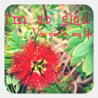 Pegatina Cuadrada Me alegra que estés en mi vida