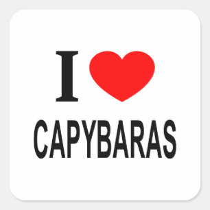 Pegatina Cuadrada Me ❤️ CAPYBARAS Amo a los capybaras Me encantan lo