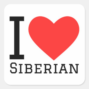 Pegatina Cuadrada Me encanta el gato siberiano