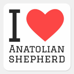 Pegatina Cuadrada Me encanta el pastor anatoliano
