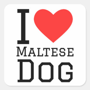 Pegatina Cuadrada Me encanta el perro maltés