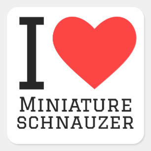 Pegatina Cuadrada Me encanta el schnauzer en miniatura