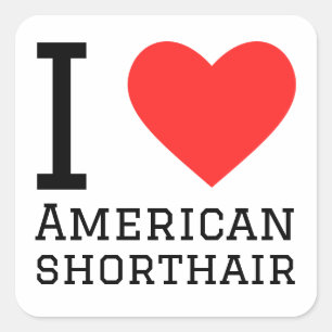 Pegatina Cuadrada Me encanta el shorthair americano