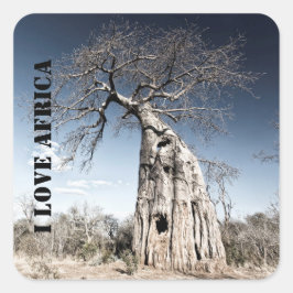 Pegatina Cuadrada Me encanta la foto de Africa Baobab Tree