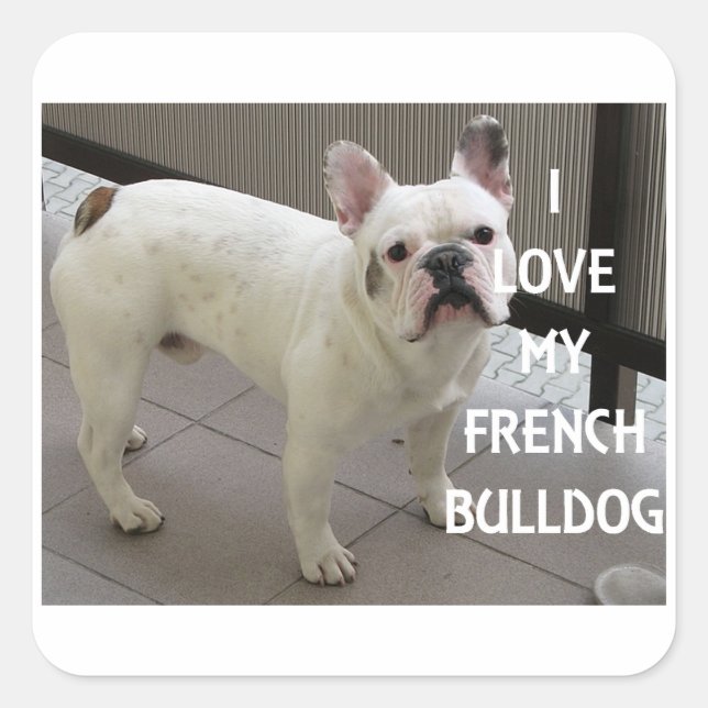 Pegatina Cuadrada Me encanta mi Bulldog francés (Anverso)