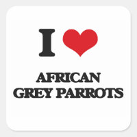 Me encantan los loros grises africanos