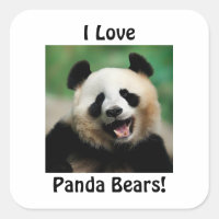 Me encantan los osos panda