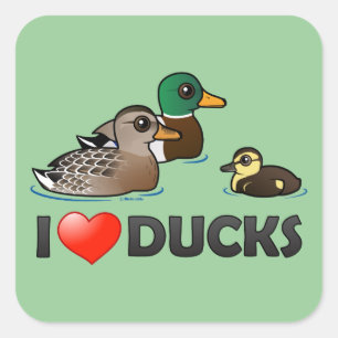 Pegatina Cuadrada Me encantan los patos