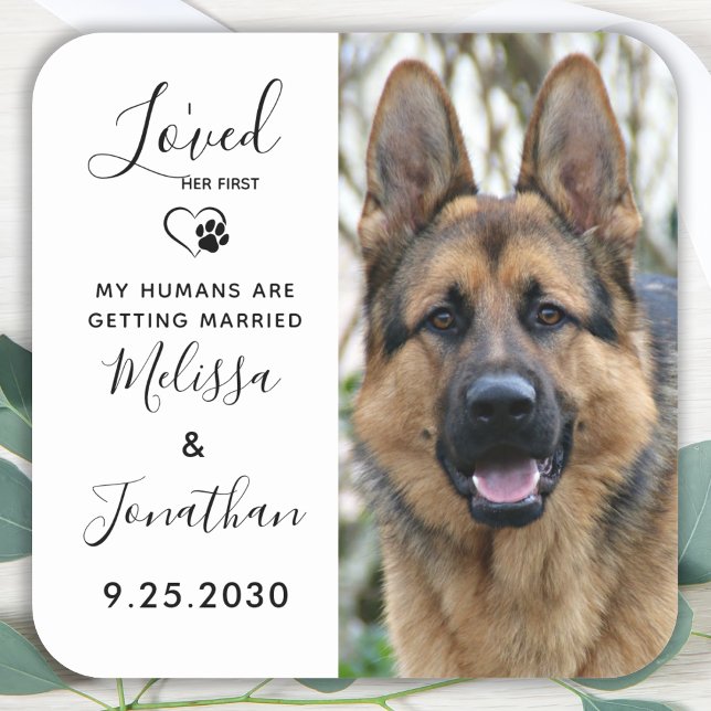 Pegatina Cuadrada Me Encantó Su Primera Boda De Perro Mascota Salven (Subido por el creador)