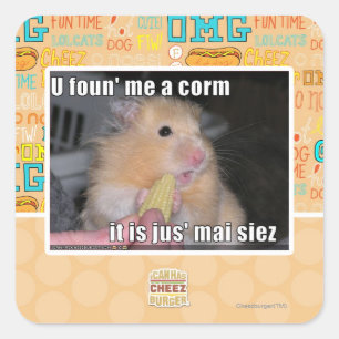 Pegatina Cuadrada Me encontraste un maíz