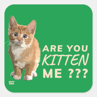 Pegatina Cuadrada "¿ME ESTÁS MATANDO?" lindo gato gracioso