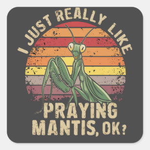 Pegatina Cuadrada Me Gusta Realmente Orar A Los Mantis Bien Insectos