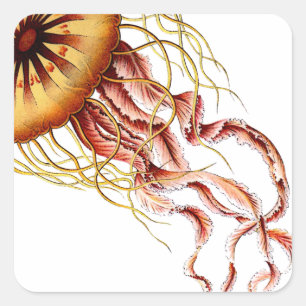 Pegatina Cuadrada medusa