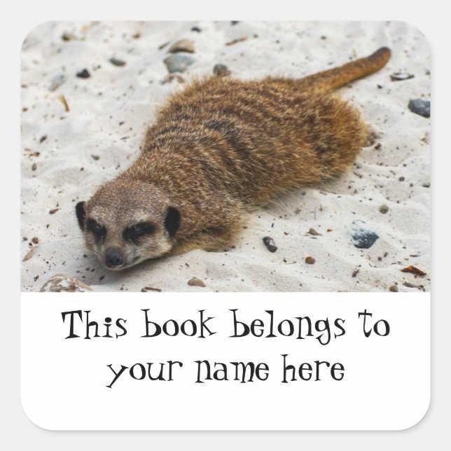 Pegatina Cuadrada Meerkat de Chillin "Este libro le pertenece" pegat (Anverso)