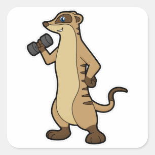 Pegatina Cuadrada Meerkat en entrenamiento de fuerza con Dumbbell