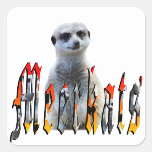 Pegatina Cuadrada "Meerkats: Orgullosos detrás del nombre"
