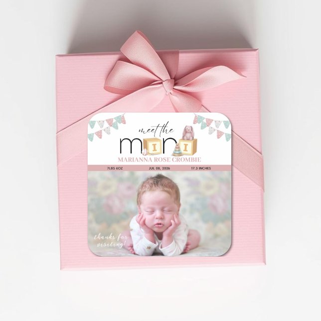 Pegatina Cuadrada Meet The Mini Pink Baby Stickers (Subido por el creador)
