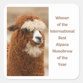 Pegatina Cuadrada Mejor ceja única de alpaca