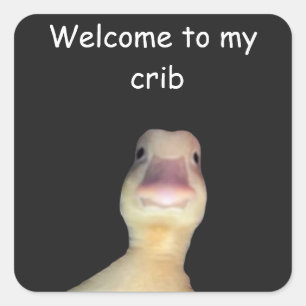Pegatina Cuadrada Meme del Pato Divertido – “Bienvenido a Mi Casa” A