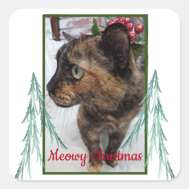 Pegatina Cuadrada Meowy Navidades Cat Foto Evergreen Fractal Bough (Anverso)