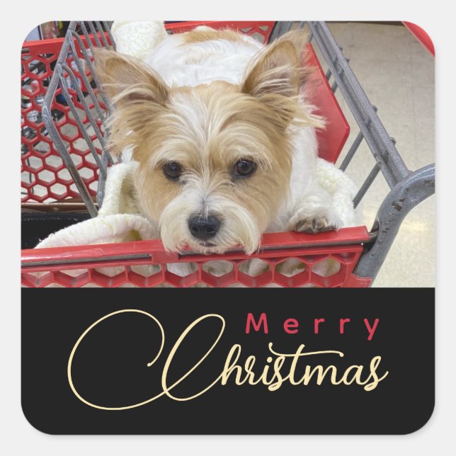 Pegatina Cuadrada Merry Christmas Puppy Photo Shopping Cart  (Anverso)
