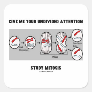 Pegatina Cuadrada Métete La Mitosis Del Estudio De Atención Sin Divi