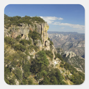 Pegatina Cuadrada México, Estado de Chihuahua, Copper Canyon. ESTO
