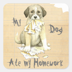 Pegatina Cuadrada Mi anatoliano se come mi hogar