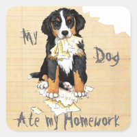 Mi Berner se comió mi hogar
