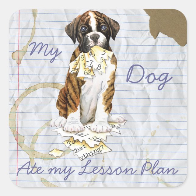 Pegatina Cuadrada Mi Boxer Ate Mi Plan De Lecciones (Anverso)