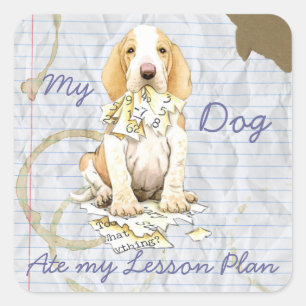 Pegatina Cuadrada Mi Bracco Italiano comió mi plan de lección