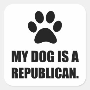 Pegatina Cuadrada Mi Perro Es Una Política Divertida Republicana