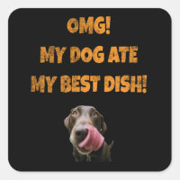 Mi perro se comió mi mejor plato de agua de acero 