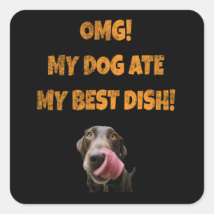 Pegatina Cuadrada Mi perro se comió mi mejor plato de agua de acero