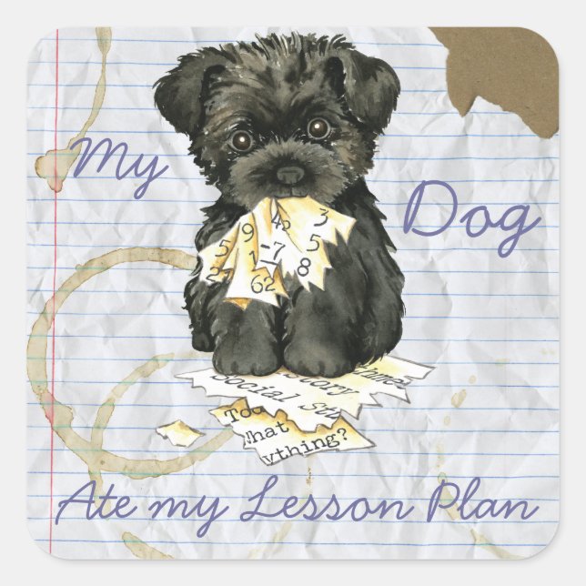 Pegatina Cuadrada Mi plan de clases de Affenpinscher Ate (Anverso)